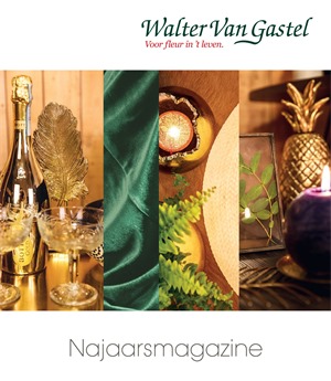 Walter Van Gastel folder van 25/10/2017 tot 05/11/2017 - Najaarsmagazine
