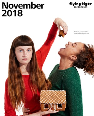 Flying Tiger folder van 01/11/2018 tot 30/11/2018 - Maandpromoties