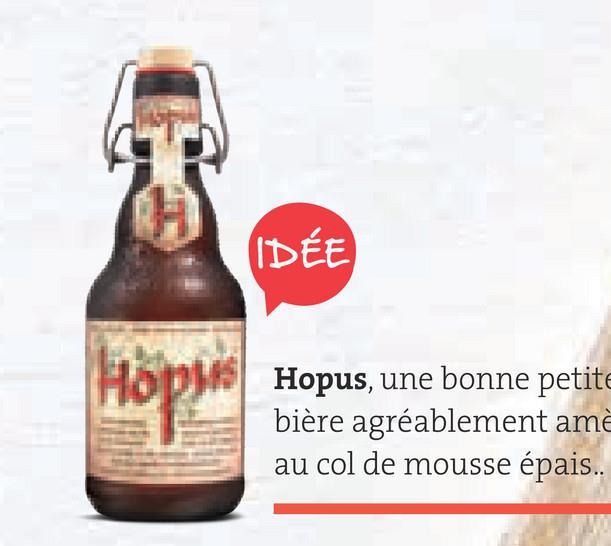 Folder Spar du 29/06/2018 au 31/07/2018 - IDÉE
Hopus, une bonne petite
bière agréablement am
au col de mousse épais...