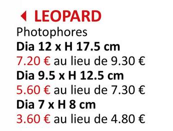 Photophore Leopard H12cm Décoration Bougie & Porte-bougie