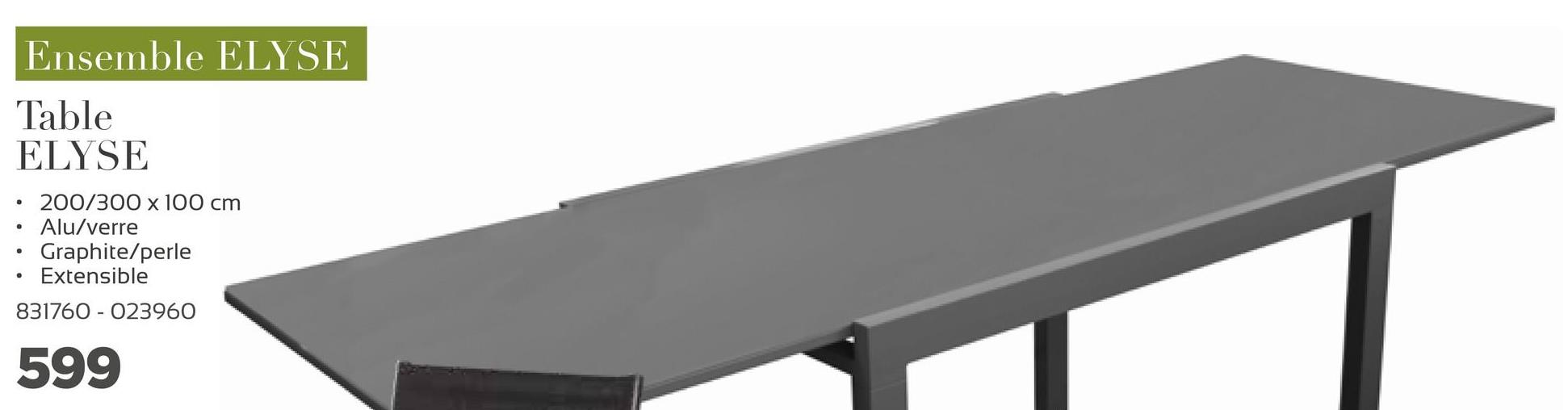 Ensemble ELYSE
Table
ELYSE
200/300 x 100 cm
Alu/verre
Graphite/perle
Extensible
831760 - 023960
599
