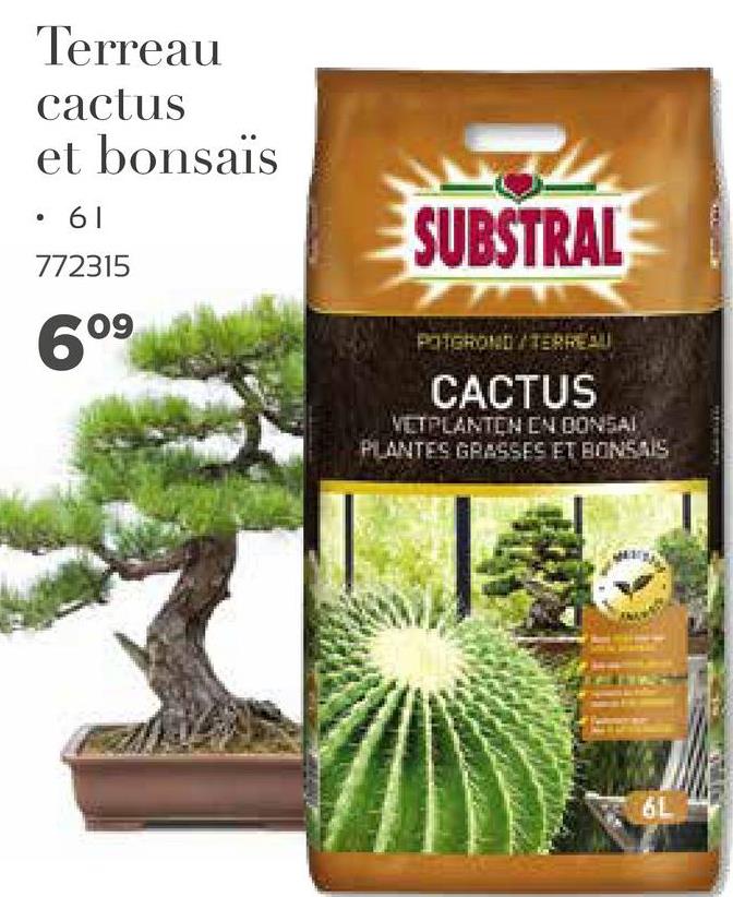 Terreau
cactus
et bonsaïs
61
SUBSTRAL
772315
09
PAGOH TERRES
CACTUS
VETPLANTENEN DONSAI
PLANTES GRASSES ET BONSAIS
61
