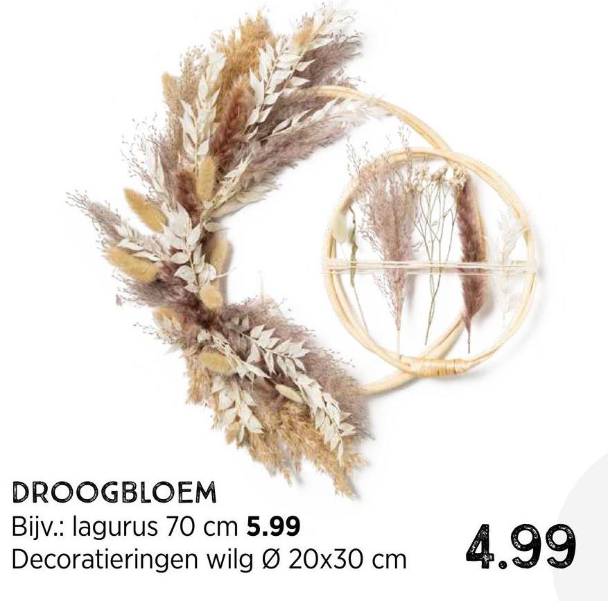 DROOGBLOEM
Bijv.: lagurus 70 cm 5.99
Decoratieringen wilg Ø20x30 cm
4.99