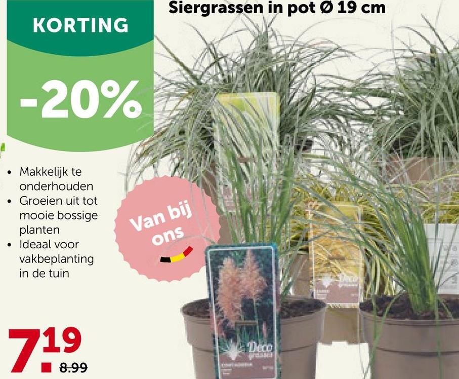 KORTING
-20%
Makkelijk te
onderhouden
Groeien uit tot
mooie bossige
planten
. Ideaal voor
vakbeplanting
in de tuin
719
8.99
Siergrassen in pot Ø 19 cm
Teed
Van bij
ons
Deco
grasses