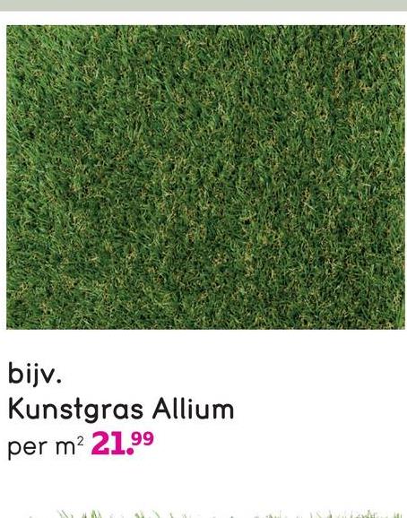 bijv.
Kunstgras Allium
per m² 21.99
ISA