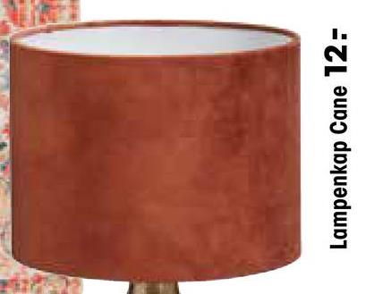 Lampenkap Cane Terra Lampenkap Cane in een terra kleur. Heeft een velours uitstraling. Gemaakt van 50% kunststof en 50% polyester. ø24x18 cm.