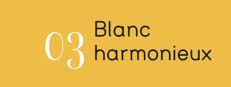 03
Blanc
harmonieux
