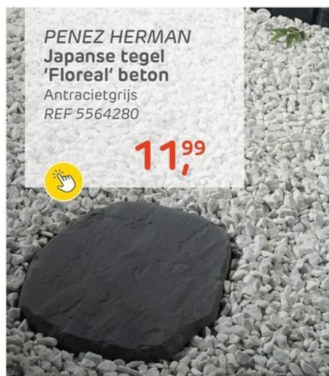 PENEZ HERMAN
Japanse tegel
'Floreal' beton
Antracietgrijs
REF 5564280
99
11⁹9⁹