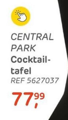 CENTRAL
PARK
Cocktail-
tafel
REF 5627037
779⁹