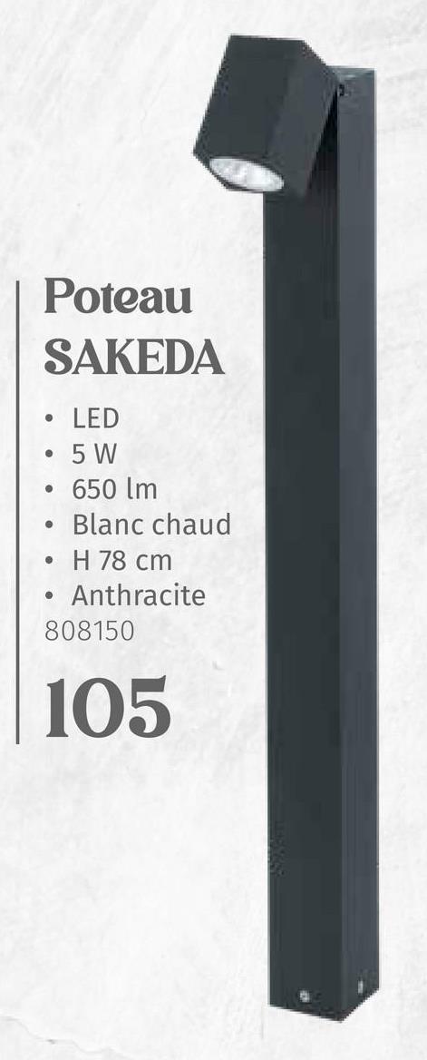 Poteau
SAKEDA
LED
5 W
●
• 650 lm
●
●
●
●
Blanc chaud
H 78 cm
Anthracite
808150
105