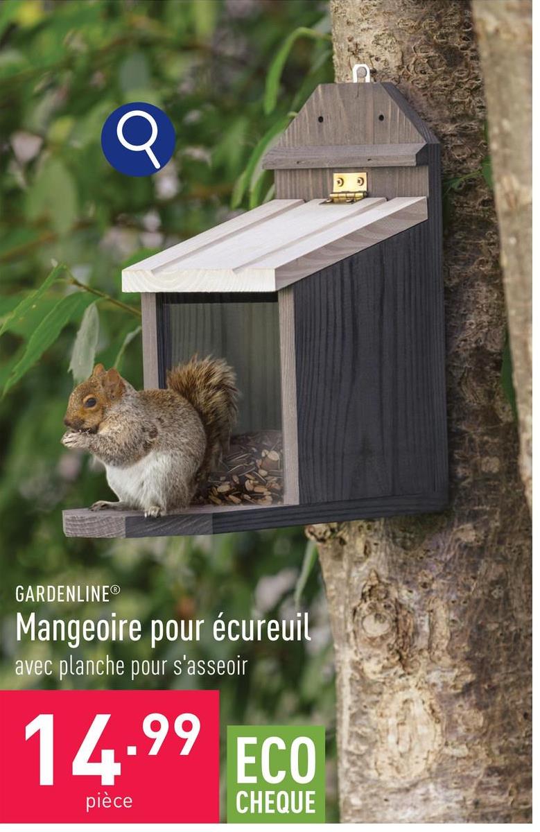 Wildlife Friend I Mangeoire Ecureuil Exterieur - Très Grand - Avec