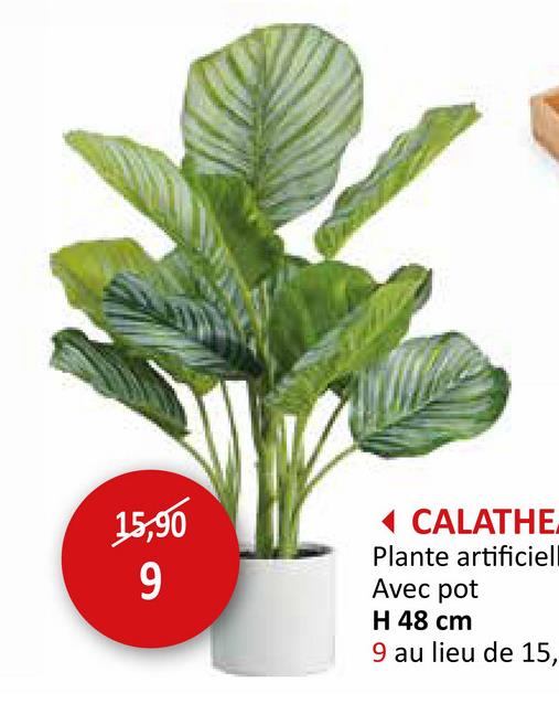 Plante artificielle Calathea H48cm Plantes Artificielles Plantes