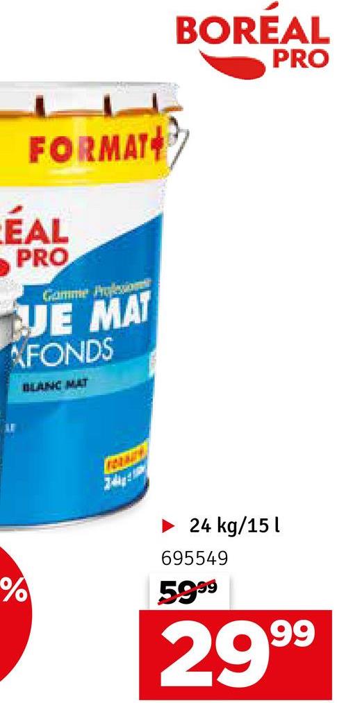 Peinture acrylique Pro blanche mate 4 kg BOREAL