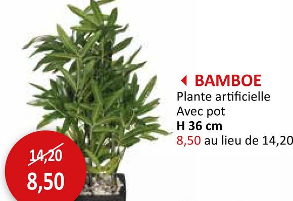 14,20
8,50
◄ BAMBOE
Plante artificielle
Avec pot
H 36 cm
8,50 au lieu de 14,20