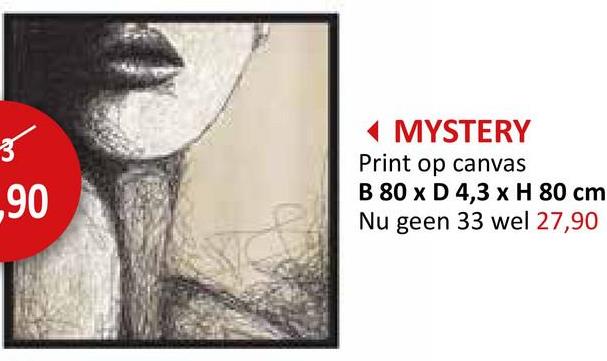 ,90
◄ MYSTERY
Print op canvas
B 80 x D 4,3 x H 80 cm
Nu geen 33 wel 27,90