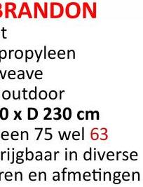BRANDON
t
propyleen
veave
outdoor
0 x D 230 cm
een 75 wel 63
rijgbaar in diverse
ren en afmetingen