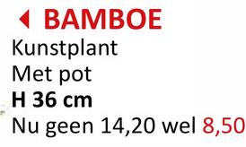 ◄ BAMBOE
Kunstplant
Met pot
H 36 cm
Nu geen 14,20 wel 8,50