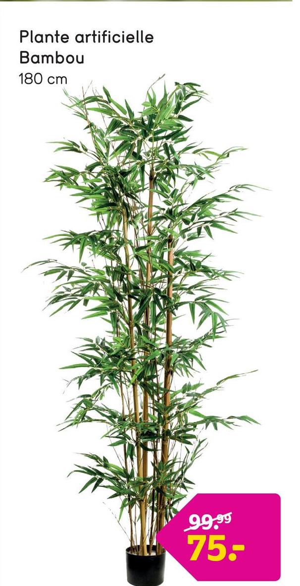 Plante Bambou artificielle dans pot - verte - 180 cm