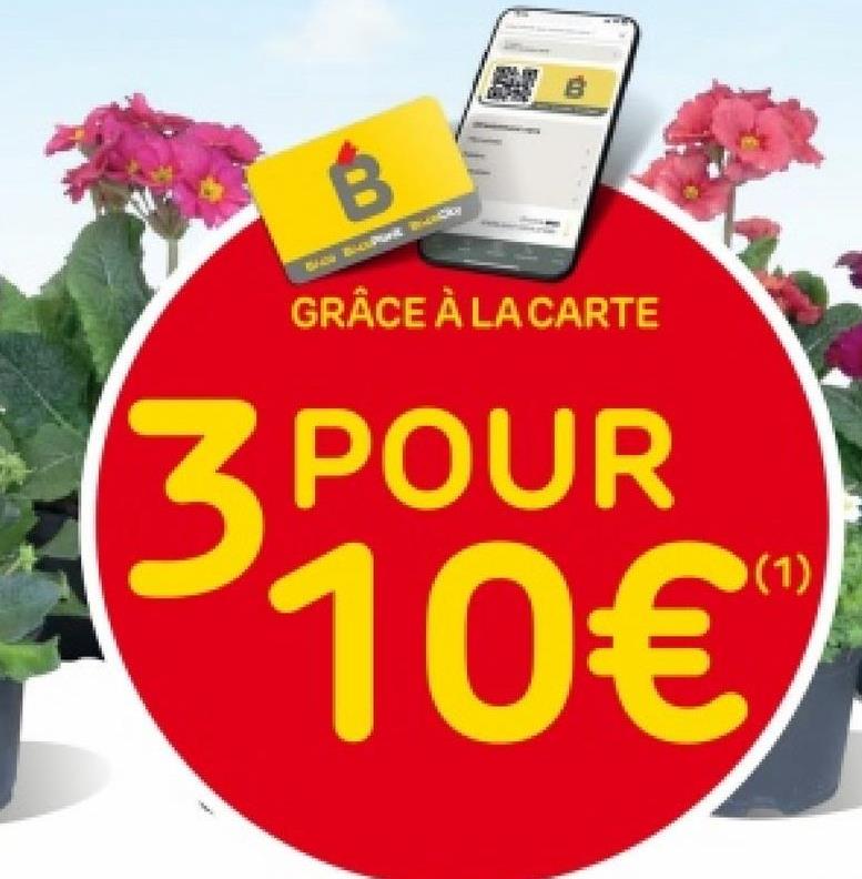 3
GRÂCE À LA CARTE
3 POUR
10€
(1)