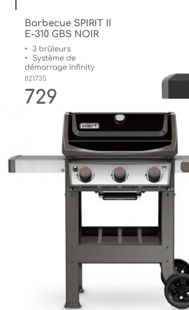 Barbecue SPIRIT II
E-310 GBS NOIR
⚫ 3 brûleurs
• Système de
démarrage Infinity
821735
729