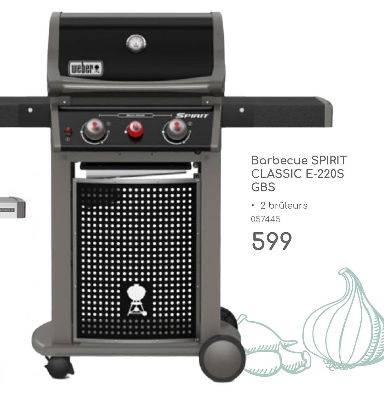weber
RIT
Barbecue SPIRIT
CLASSIC E-220S
GBS
•
2 brûleurs
057445
599