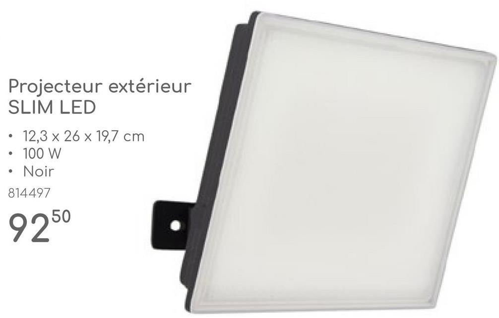 Projecteur extérieur
SLIM LED
• 12,3 x 26 x 19,7 cm
100 W
Noir
814497
9250