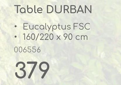 Table DURBAN
Eucalyptus FSC
160/220 x 90 cm
006556
379