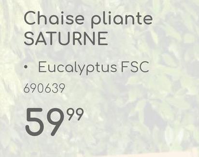 Chaise pliante
SATURNE
Eucalyptus FSC
690639
5999