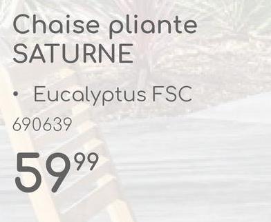 Chaise pliante
SATURNE
Eucalyptus FSC
690639
5999