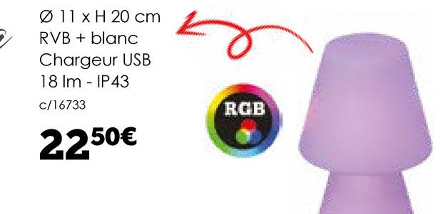 Ø 11 x H 20 cm
RVB+blanc
Chargeur USB
18 Im - IP43
c/16733
2250€
n
RGB