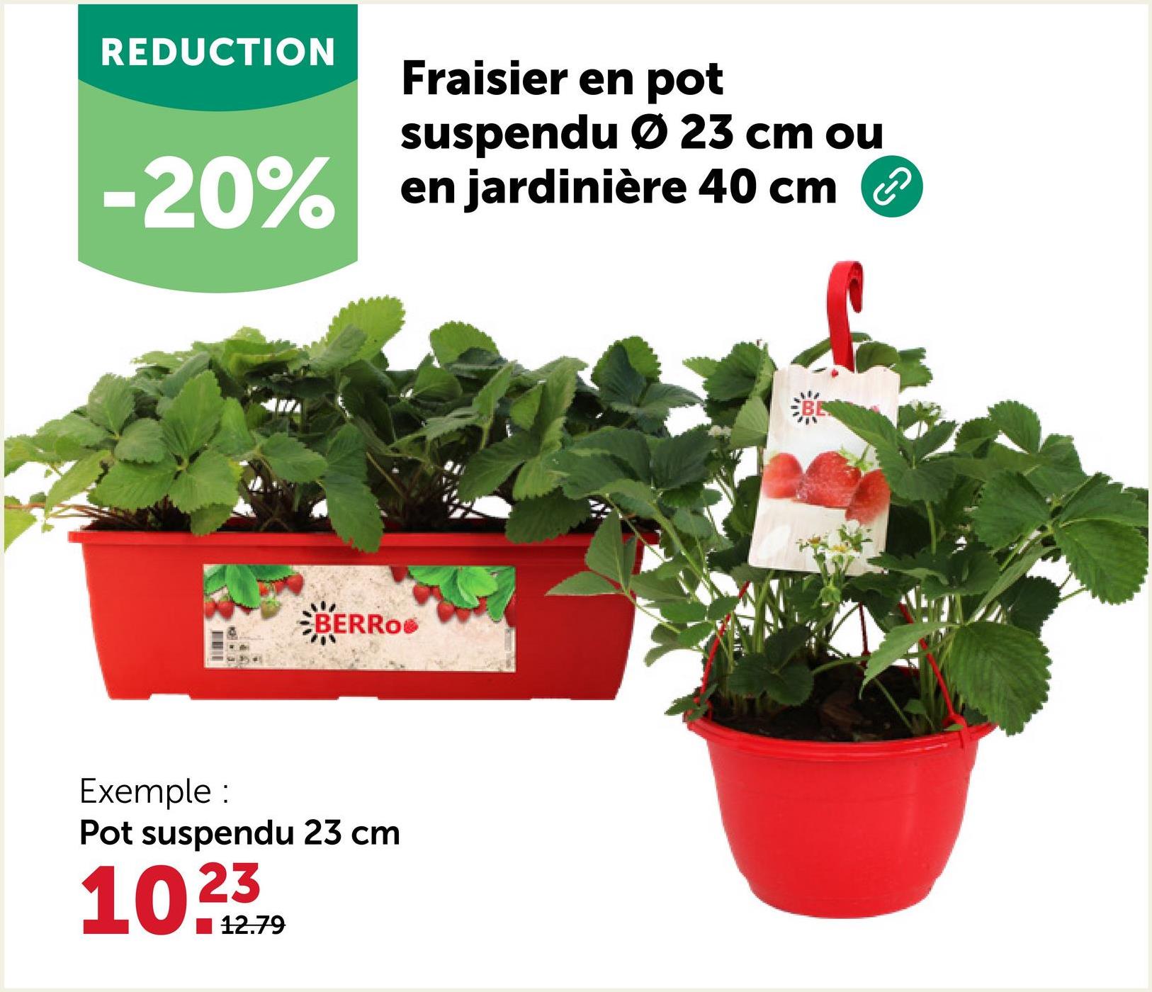 REDUCTION
Fraisier en pot
suspendu Ø 23 cm ou
-20% en jardinière 40 cm
BERRO
Exemple:
Pot suspendu 23 cm
10.23
12.79