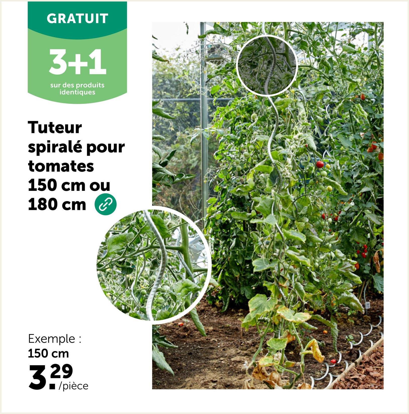 GRATUIT
3+1
sur des produits
identiques
Tuteur
spiralé pour
tomates
150 cm ou
180 cm
Exemple :
150 cm
329
■/pièce