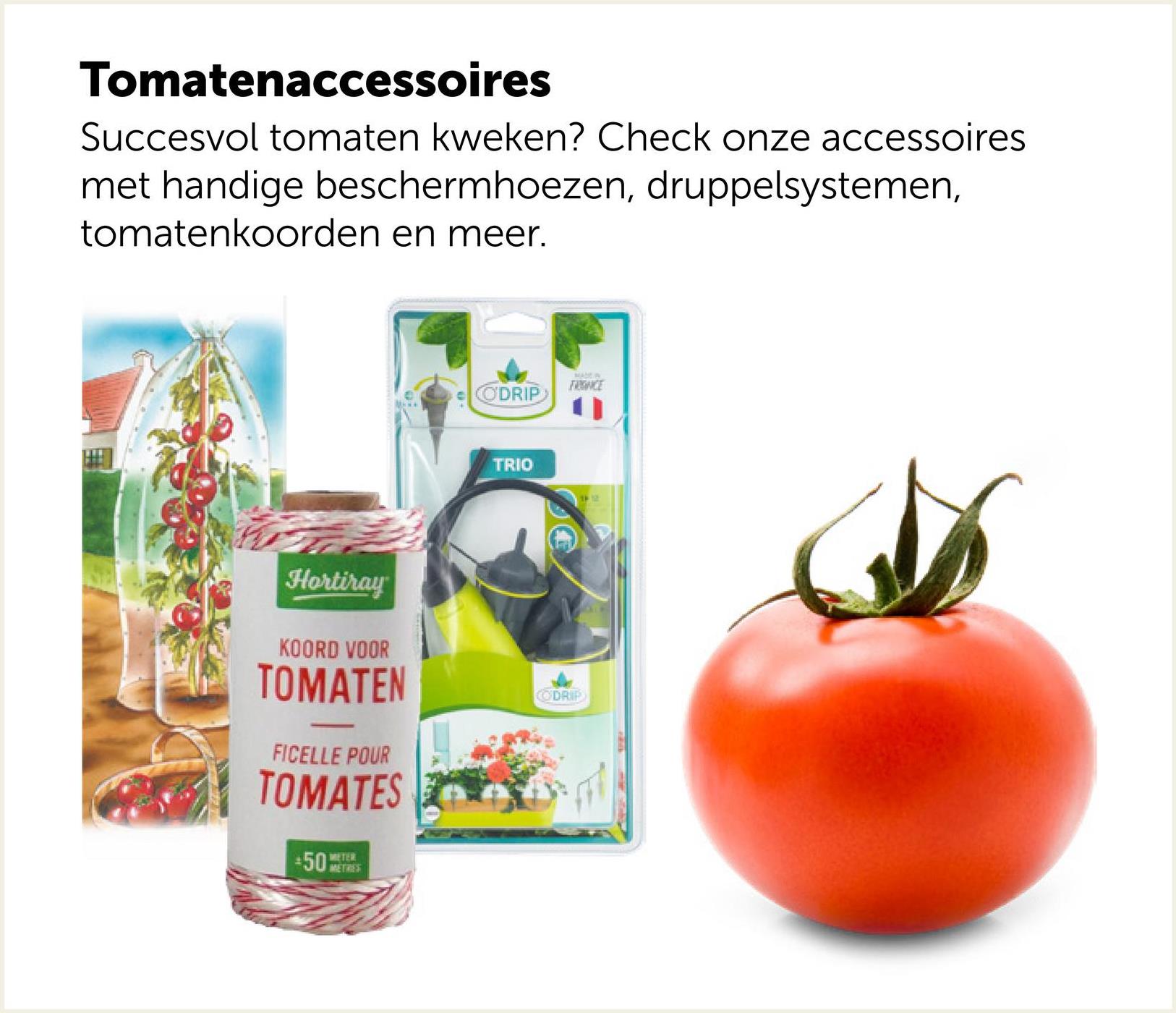 Tomatenaccessoires
Succesvol tomaten kweken? Check onze accessoires
met handige beschermhoezen, druppelsystemen,
tomatenkoorden en meer.
ODRIP
FRIENCE
TRIO
Hortiray
KOORD VOOR
TOMATEN
FICELLE POUR
TOMATES
METER
50 METRES
CODRIP