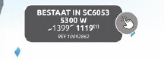 BESTAAT IN SC6053
5300 W
-13991119(1)
REF 10092852