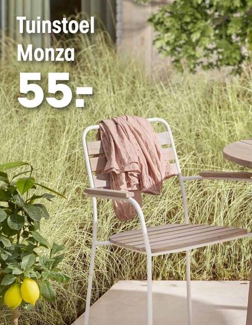 Tuinstoel Monza Naturel Tuinstoel Monza is een prachtige stoel in een scandinavische stijl. Wit metaal met houtaccenten geven deze tuinstoel een moderne look.