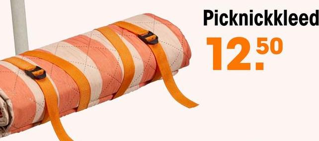 Picknickkleed Gestreept Oranje Geniet van buiten picknicken met het gestreepte oranje picknickkleed,  gemaakt van microvezel en polyester. Met zijn handige afmetingen van 135x170 cm (lxb)  is het ideaal voor in het park, tuin en op het strand. Dankzij de gemakkelijke opvouwbaarhei