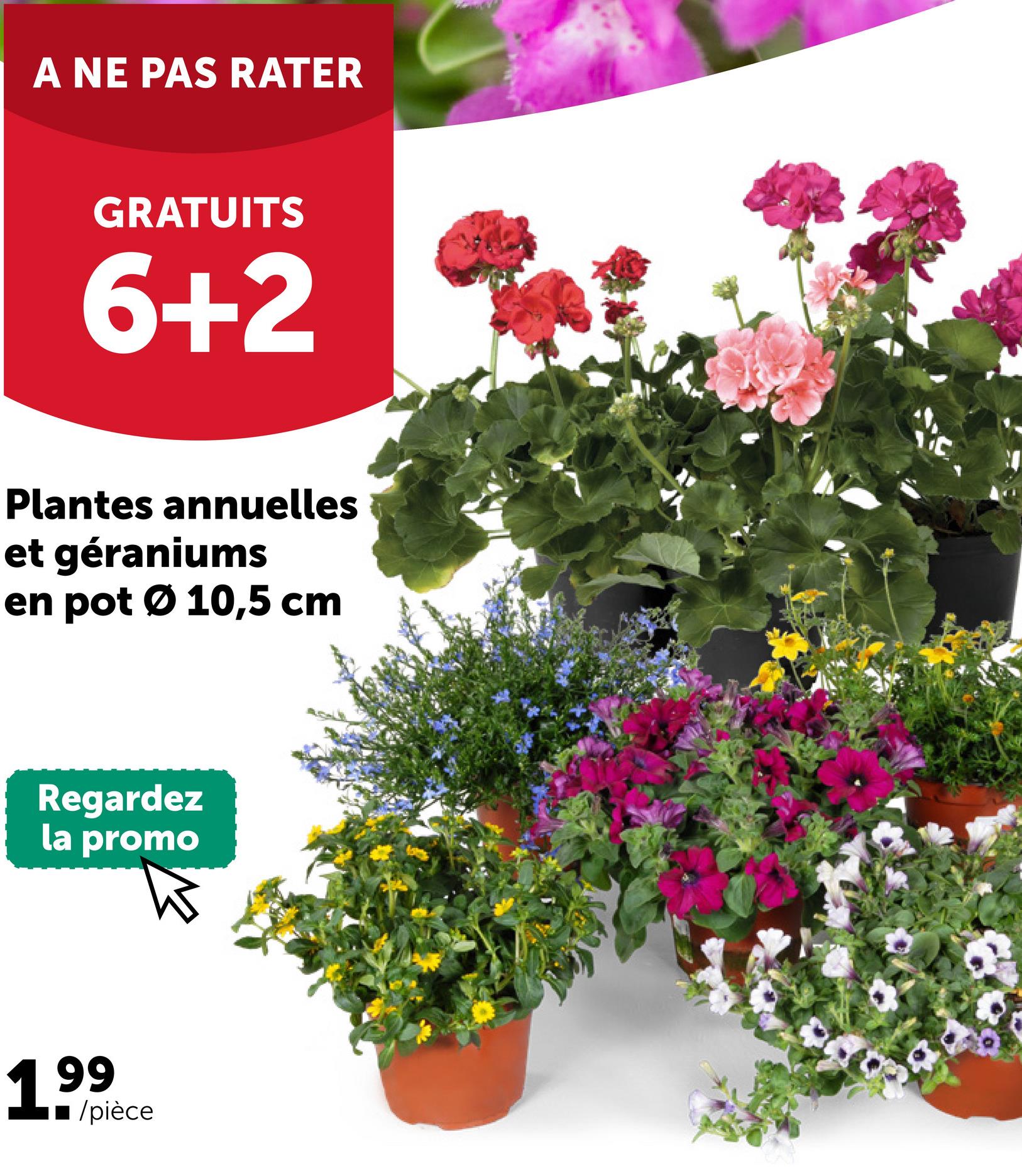 A NE PAS RATER
GRATUITS
6+2
Plantes annuelles
et géraniums
en pot Ø 10,5 cm
Regardez
la promo
199
/pièce