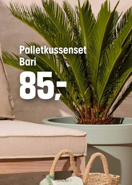 Palletkussen set Baza Grijs Modern palletkussen in een grijze kleur. Gemaakt van 100% polyester. 120 x 80 x 50 cm (lxbxh).