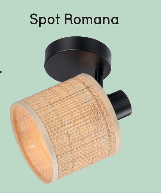 Spot Romana - naturel/noir mat - 17xØ13 cm