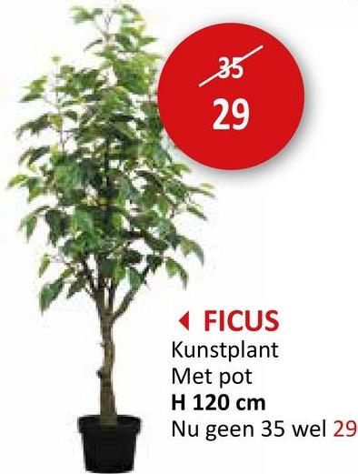 29
35
29
<FICUS
Kunstplant
Met pot
H 120 cm
Nu geen 35 wel 29