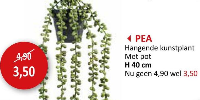4,90
3,50
◄ PEA
Hangende kunstplant
Met pot
H 40 cm
Nu geen 4,90 wel 3,50