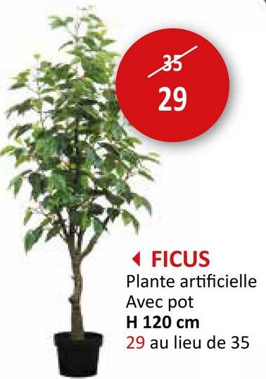 35
29
◄ FICUS
Plante artificielle
Avec pot
H 120 cm
29 au lieu de 35