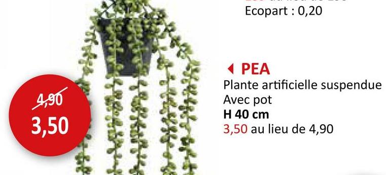 Ecopart: 0,20
4,90
3,50
PEA
Plante artificielle suspendue
Avec pot
H 40 cm
3,50 au lieu de 4,90