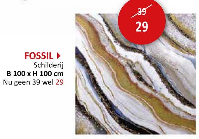 FOSSIL ‣
Schilderij
B 100 x H 100 cm
Nu geen 39 wel 29
39
29
29