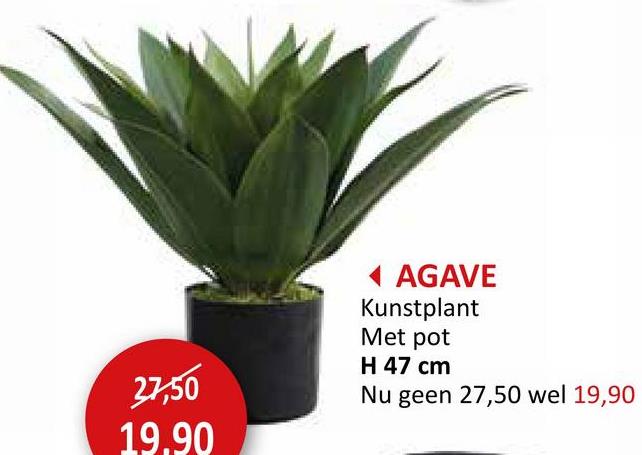 27,50
19.90
◄ AGAVE
Kunstplant
Met pot
H 47 cm
Nu geen 27,50 wel 19,90