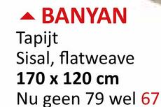 BANYAN
Tapijt
Sisal, flatweave
170 x 120 cm
Nu geen 79 wel 67