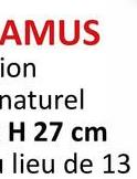 AMUS
ion
naturel
H 27 cm
lieu de 13