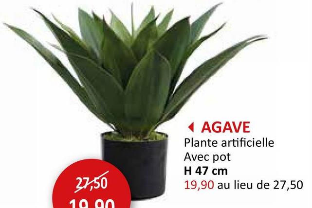 27,50
19.90
◄ AGAVE
Plante artificielle
Avec pot
H 47 cm
19,90 au lieu de 27,50