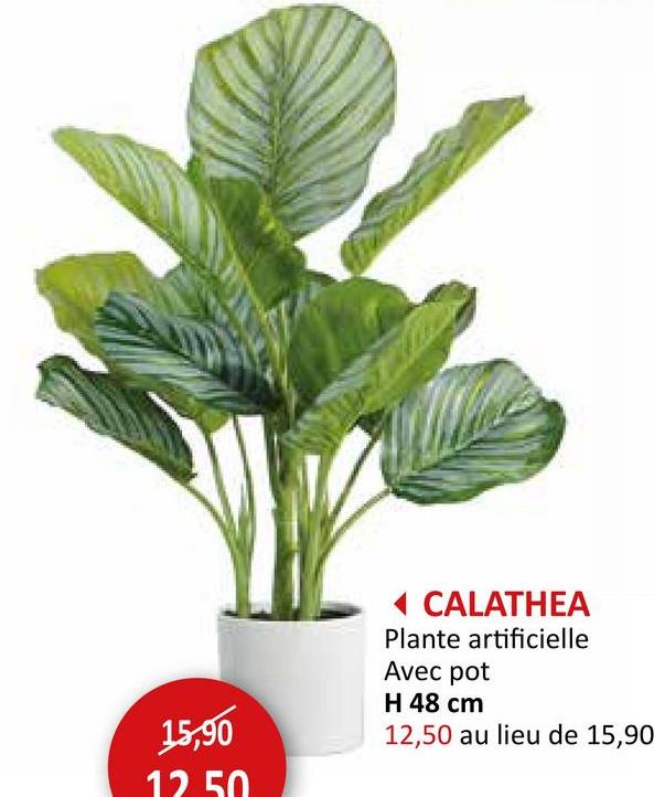 15,90
12.50
◄ CALATHEA
Plante artificielle
Avec pot
H 48 cm
12,50 au lieu de 15,90