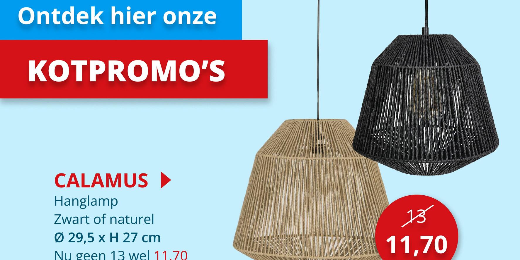 Hanglamp Calamus Ø29,5cm 40W E27 Hanglamp Hanglampen